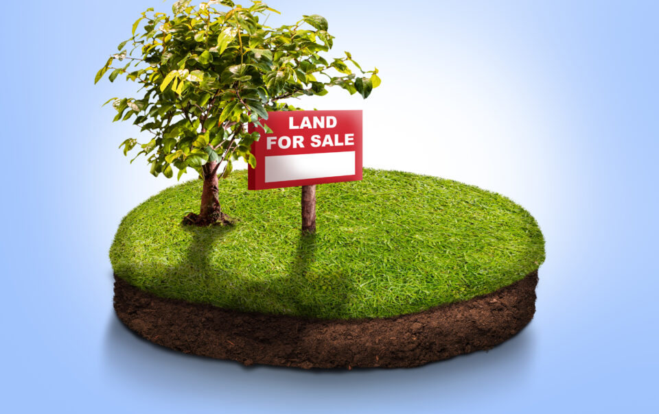 Yercaud Coffee Farm for Sale Near Montfort School